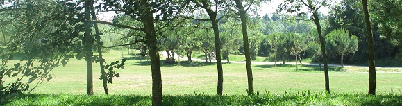 city park_1