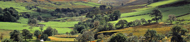Lake District, Cumbria, England1