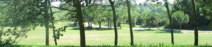 city park 1