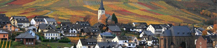ellenz mosel1